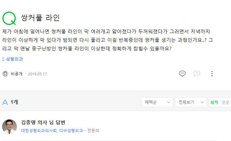 쌍커풀 라인 네이버 지식인 상담 원문
